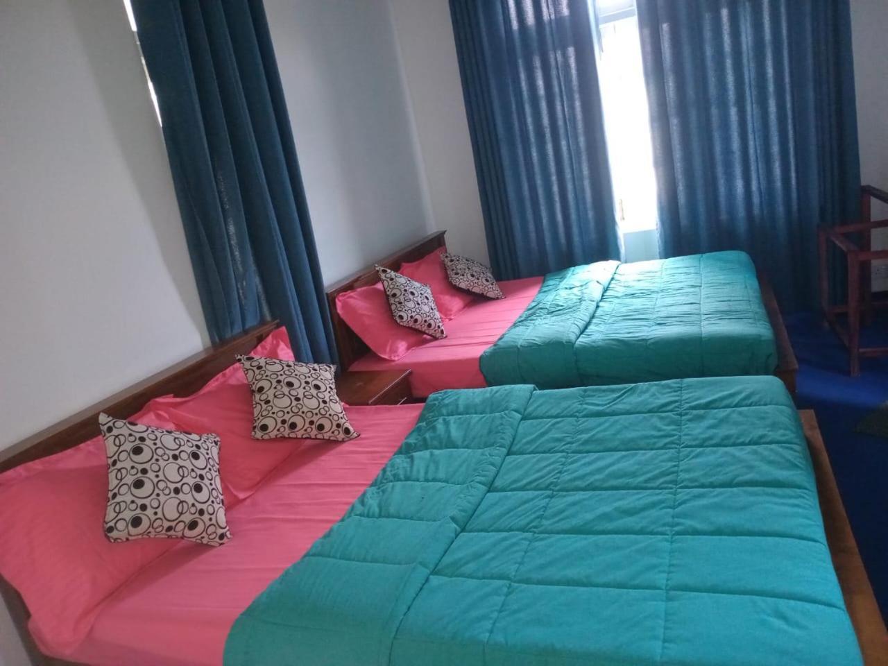 Frosty Heaven Guest House Νουβάρα Ελίγια Εξωτερικό φωτογραφία